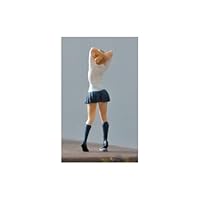 Amazon.co.jp: 1/64 フィギュア 女性 塗装済み 完成品 ミニカー用