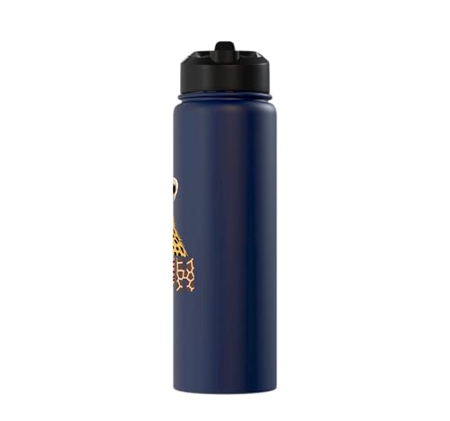 Bruh Cheetah Sunglasses Wild Animal Safari Jungle Meme Stainless Steel Insulated Water Bottle