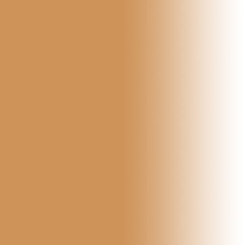 Dinair Airbrush Makeup Foundation | Light Golden Beige | Glamour: Natural, Light Coverage, Matte 1.15 Oz. #TOP1