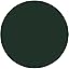 Rainforest Green