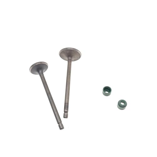 Válvula de admisión y escape con retén para reparar el motor de motos WY125