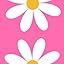 Pink Daisy