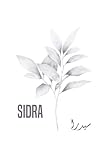  Sidra: Arabic Calligraphy Name with Heather Grey Flowers Notebook Journal for Girls and Women, Personalized Sidra Diary, 6x9 120 pages Composition ... Family and Coworker, Arabic Female Gift