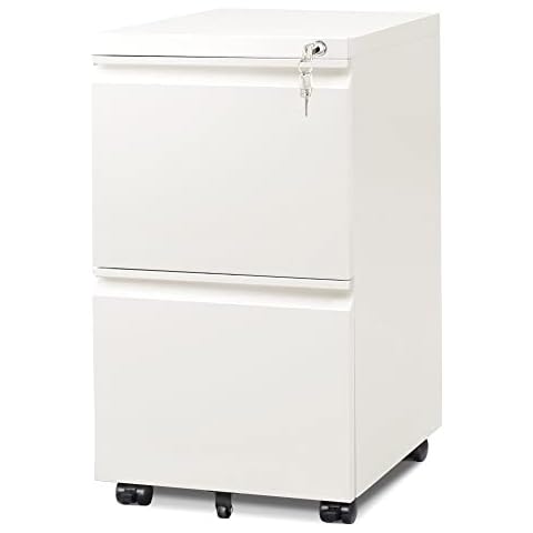 DEVAISE 2-Drawer Mobile File Cabinet with Lock Cover