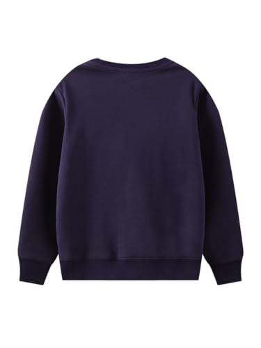 Boys Sweatshirts Casual Sweatshirts Cotton Sweatshirts Long Sleeve T-shirts Crew Neck Cartoon Tops for Boys-4562