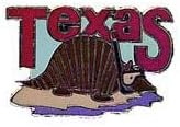 New Collectable Texas Scuba Diver Hat & Lapel Pin