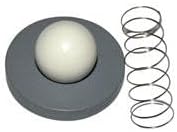 IPW Industries Inc - (CR-3) チェックバルブ修理キット 1インチ インジェクター (旧スタイル); C83