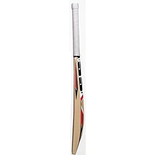 Batte de cricket intermédiaire SS Master avec housse pour balle en cuir