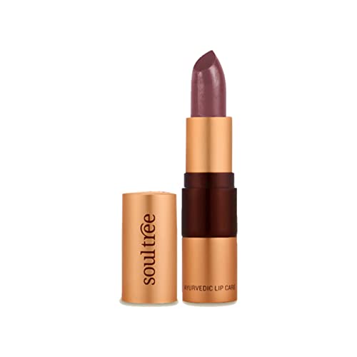 SoulTree Ayurvedic Lipstick - Colour Cocoa Rich 906, 4gm | Creamy Texture | Enriched with Organic Ghee & Almond Oil | Moistured & Nourished Lips | 4gm