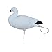 Avery Pro-Flex Full Body Harvester Decoy Pack – Dozen Goose Decoys with 22