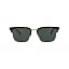 Havana Silver Green-gg1226s-30013483-003