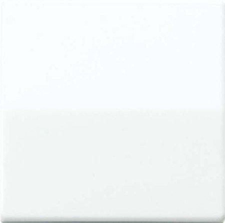 Preisvergleich Produktbild Jung 1fach Abdeckung Taster Alpinweiß AS1561.07WW