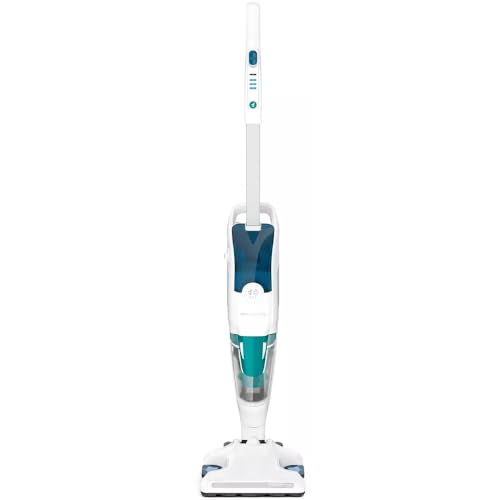 Rowenta Nettoyeur vapeur, Aspire et nettoie en même temps, Efficacité en un seul passage, Vapeur assainissante éliminant 99,9% des germes, tous types de...