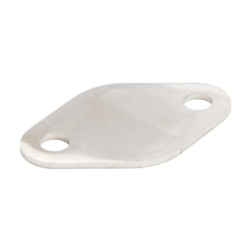 VIPIH Placa de obturación EGR de Acero Inoxidable de 1,5mm para Fit for VW/Fit for Audi/Fit for Seat/Fit for Skoda 2.0L TDI CR Euro5 (Solo Diesel), Ventajas enumeradas, 1 Placa