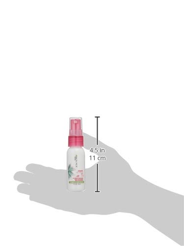 Biolage Styling Airdry Glotion |Multi-Benefit Spray For A Glossy, Finished Look | Paraben-Free | For All Hair Types