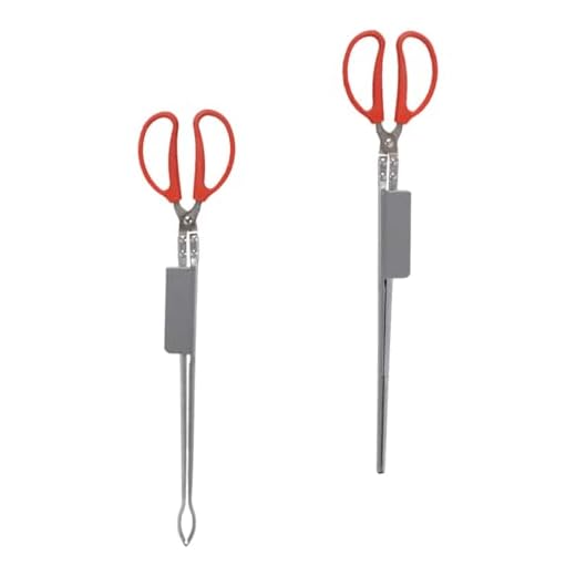 2pcs Anti-slip Stainless Steel Eel Tongs Set