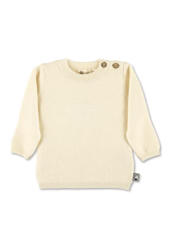Sterntaler Baby Jungen Strick Pullover GOTS - Mit Stern Stickerei und...