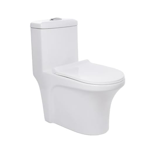 Pingoo.casa, Vaso Sanitário Monobloco Caixa Acoplada Privada Barita - Branco