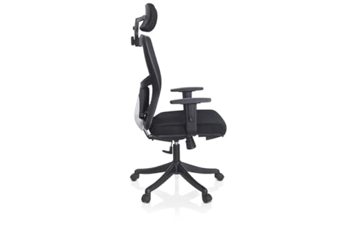 Image of Ergoline Abs with Mesh Ergo HB ML Office Chair, Mesh Ergonomic Office Chair for Work from Home,Adjustable Lumbar Support, Gaslift & Headrest with Adjustable Arms