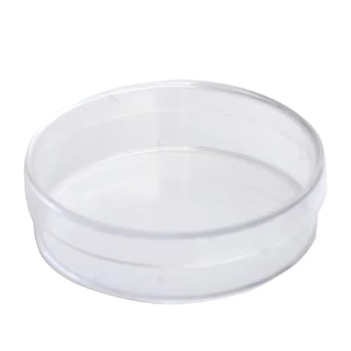 Lbg ANZT 55mm vX`bN YA_v^[