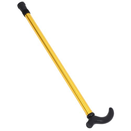 Homoyoyo k  ܂ ݎ җp  AEghA  K   t {