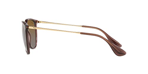 Image of Ray-Ban RB4171 Erika Round Sunglasses