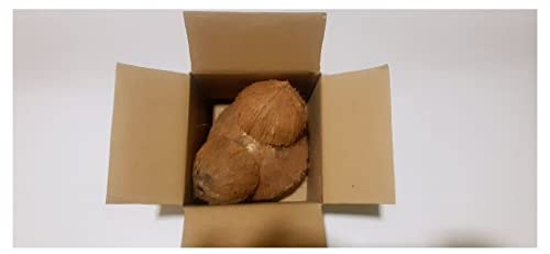 Dilsiorganics Ceylon 100% Coconut Shell Halves Natural Eco-Friendly Large Two Pieces And Small Two Pieces #TOP3