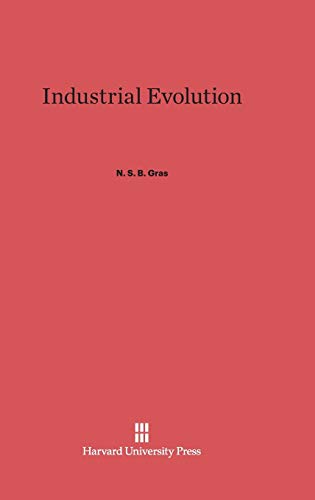 Industrial Evolution view 2