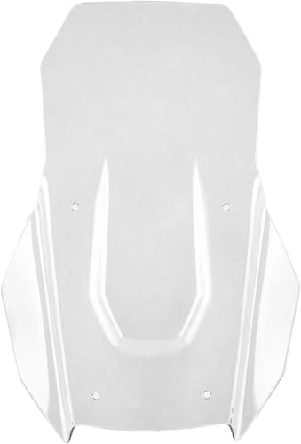 �I�[�g�o�C�̃t�����g�K���X ADV 350 2022 2023 2024�p ADV350�p �t�����g�K���X(Mode1)