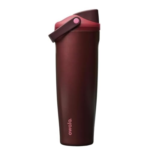 Owala FreeSip Insulated Water Bottle