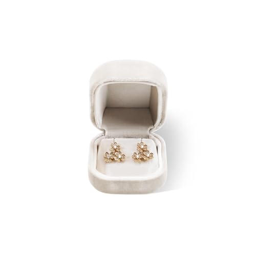 Dansmiy Earring Display Box, Resilient Velvet Stud Earrings Box for Gift