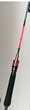 Marlin Blue Spinnrute AQS Harpoon Regular 200 g