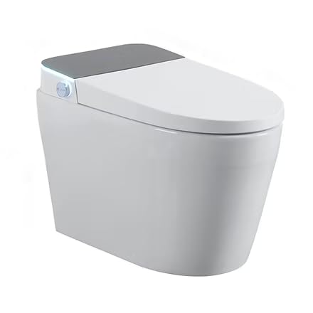 Inodoro inteligente de una pieza Rainforest con asiento calefactable, modos múltiples de limpieza, tapa de apertura y cierre automático, secado con aire tibio y tanque de agua incorporado para baja presión