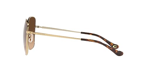 Coach Women's Hc7133 Square Sunglasses4