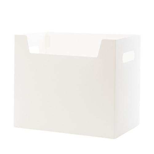 Casella di Archiviazione dei Libri Desktop in Plastica, Casella di File Colpiscile di Multifunzione, Casella di Archiviazione dei Libri per Mantenere Libri, File
