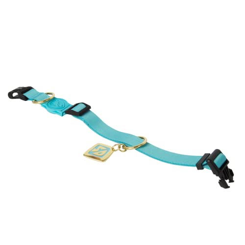 Coleira Para Cachorros Com Tag Licenciado Scooby FreeFaro (G)