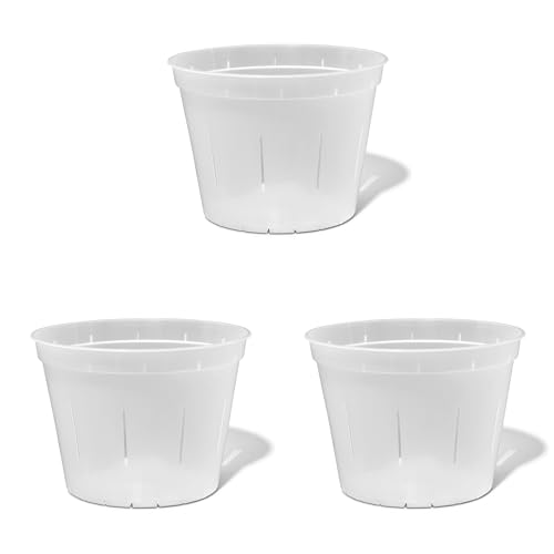 rePotme Orchid Pot -10 inch Slotted Clear Plant Pots - 3 Pack (Crystal Clear)