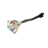DUAEANXI Lampada for proiettore LMP-H130 LMPH130 for VPL-HS50 HS50 VPL-HS51 HS51 VPL-HS60 HS60