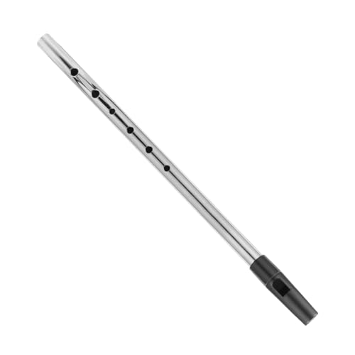 Generic Recorder Instrument for Boys and Girls Soprano Recorder in d Key Tin Whistle Irish Flute Beginner's Music Instrument