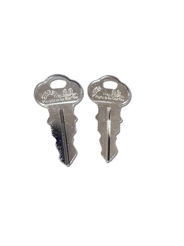 Replacement Key for Chicago Lock, CompX Lock Code 2135, Cut on CG1 Key Blank, KEYSALACARTE Branded, Precise Fit for Office Furniture, File Cabinets, and Desks