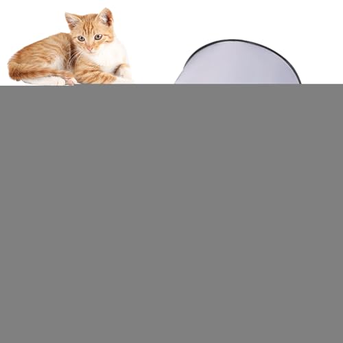 Parc pour chats portable pliable avec tunnel et jouets interactifs pour chaton