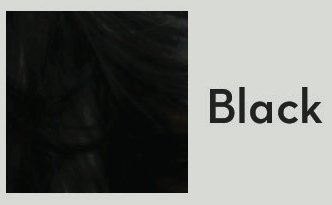 Miracle Hair PREMIUM All Natural Hair Building Fibers for Instantly Thicker Looking Hair! (10g) 75-Day Supply: BLACK