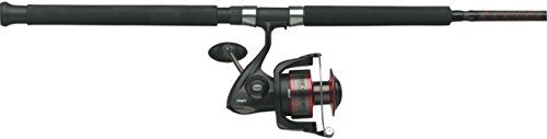 penn fishing rod and reel combo