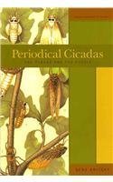 Periodical Cicadas: The Plague and the Puzzle