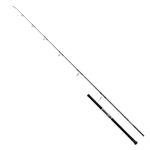 Saltiga 81-5 Daiwa canne à pêche surfcasting graphite mer