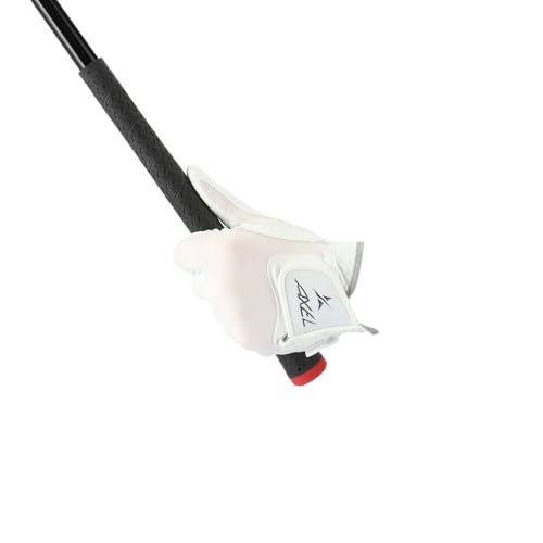 ANZ QOQT `wfk|eqddyd sdbg St 蒅p jp (zCgVo[, M)