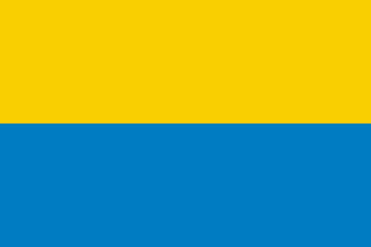 Drapeau Haute-Silésie grand modèle bicolore or et bleu finitions renforcées