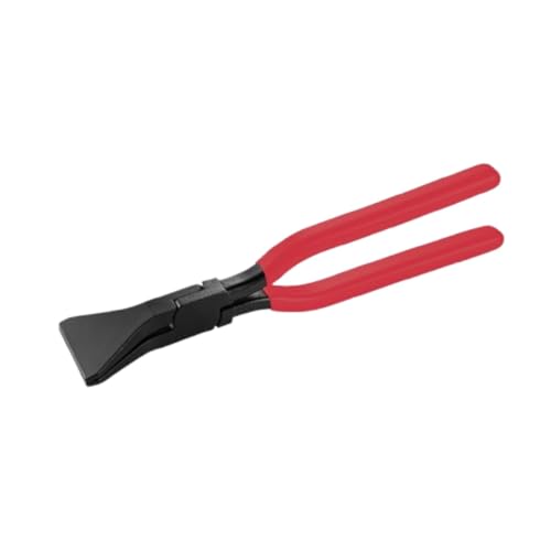 Quirixy`A܂肽ݐnAϋvAhKAbA~߃nhAy`AASȂHAb哪܂Ȃ (60mm * Xg[gwbhiԐFvX`bNR[eBOj)