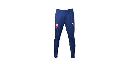 Puma Men's AFC Training Pants