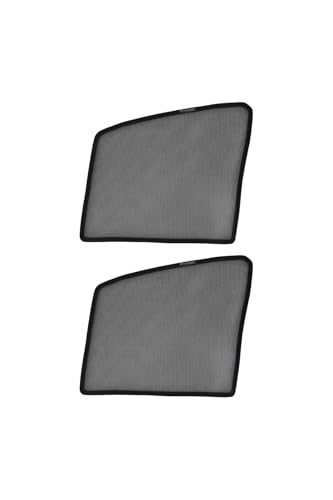 t[h FREED GTn TVF[h  TCh tg ^]   Ռ